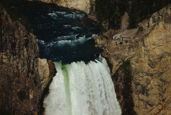 20000801   Yellowstone 108